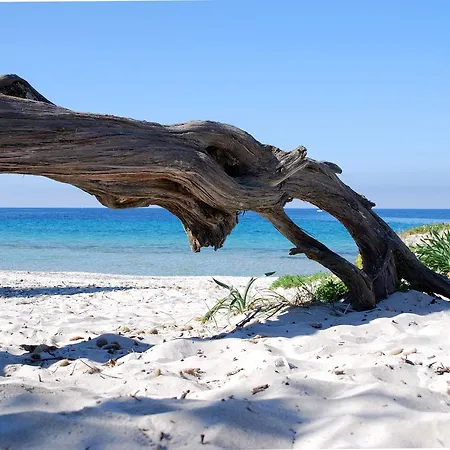 Sardinia Re - Casa Cipro Hébergement de vacances *