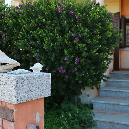 Sardinia Re - Casa Cipro Ferienhaus Castelsardo